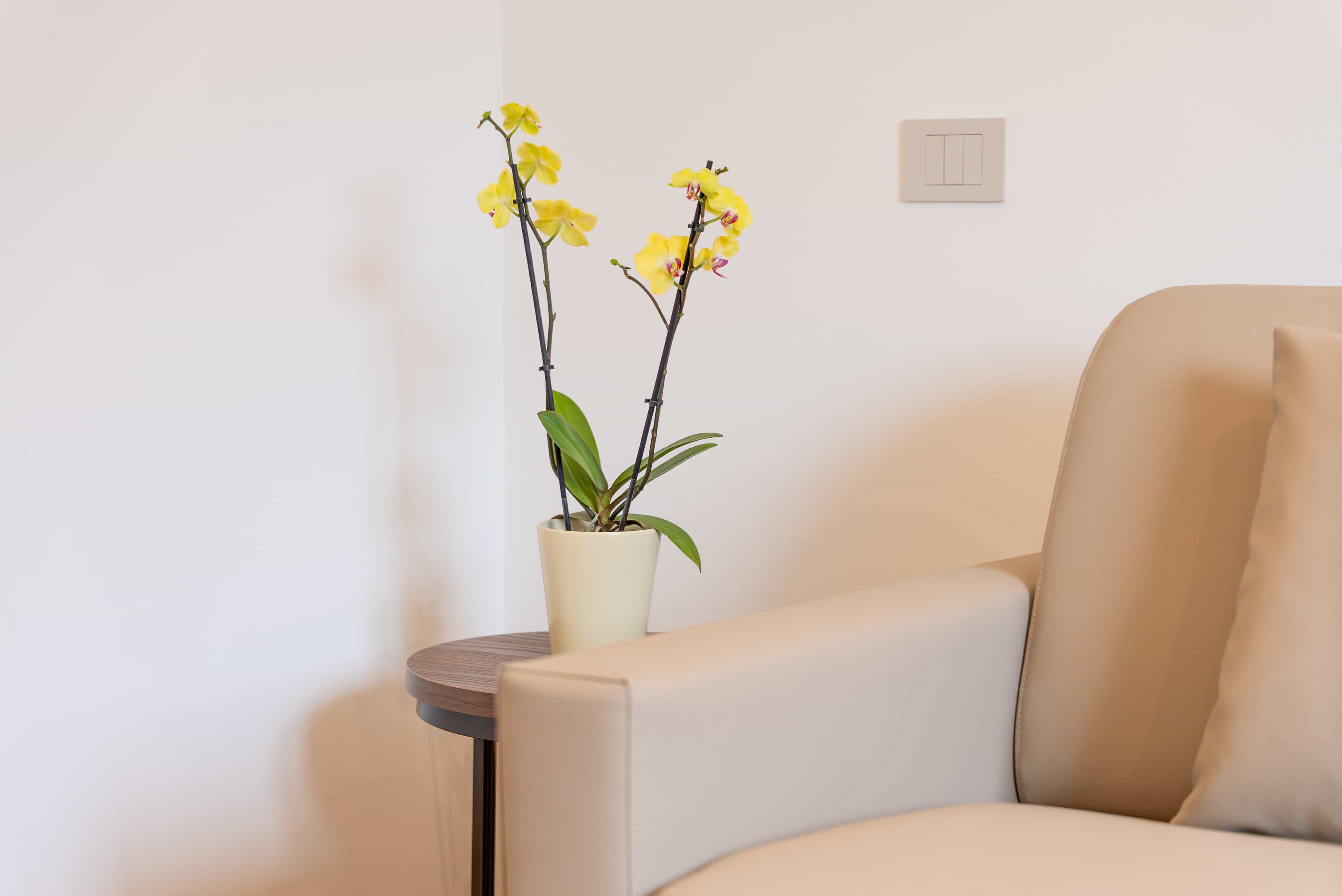 Suite Paradiso - dettaglio 7