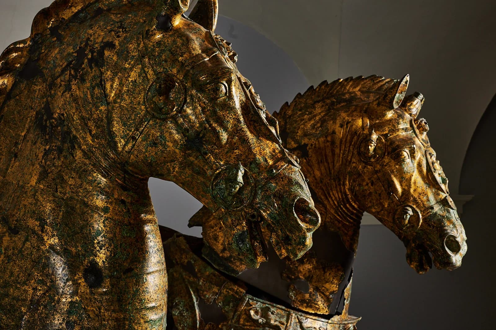 Panorama collinare delle Marche